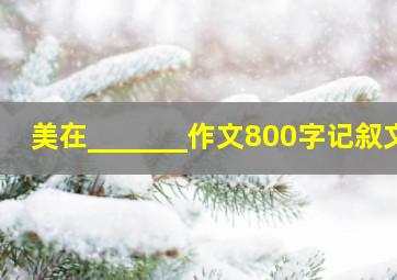 美在_______作文800字记叙文