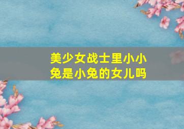 美少女战士里小小兔是小兔的女儿吗