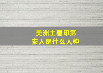 美洲土著印第安人是什么人种