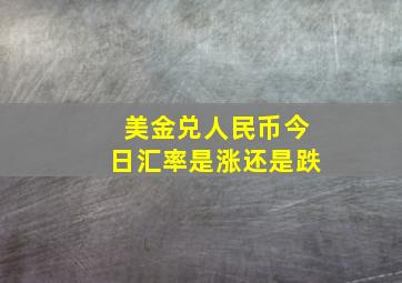 美金兑人民币今日汇率是涨还是跌