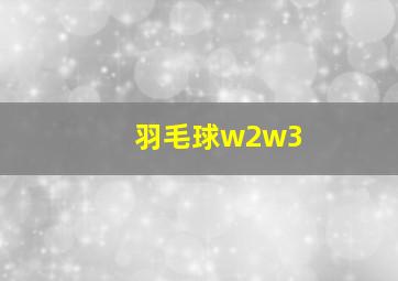 羽毛球w2w3