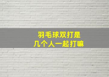 羽毛球双打是几个人一起打嘛