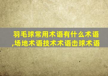 羽毛球常用术语有什么术语,场地术语技术术语击球术语