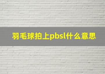 羽毛球拍上pbsl什么意思