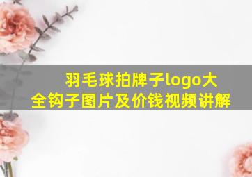 羽毛球拍牌子logo大全钩子图片及价钱视频讲解