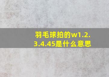 羽毛球拍的w1.2.3.4.45是什么意思