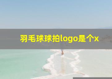 羽毛球球拍logo是个x