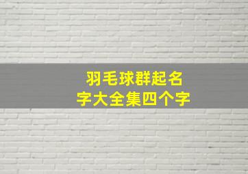 羽毛球群起名字大全集四个字