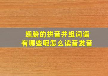 翅膀的拼音并组词语有哪些呢怎么读音发音