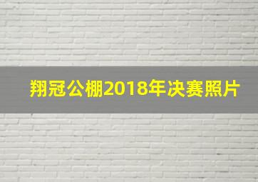 翔冠公棚2018年决赛照片