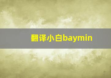 翻译小白baymin