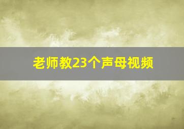 老师教23个声母视频