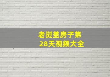 老挝盖房子第28天视频大全