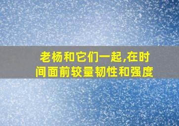 老杨和它们一起,在时间面前较量韧性和强度