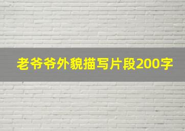 老爷爷外貌描写片段200字