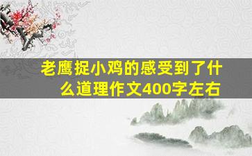 老鹰捉小鸡的感受到了什么道理作文400字左右