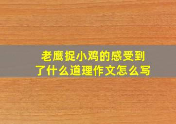 老鹰捉小鸡的感受到了什么道理作文怎么写