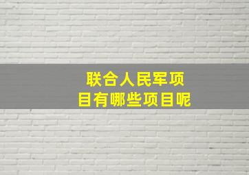 联合人民军项目有哪些项目呢