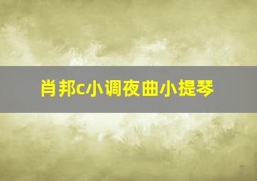 肖邦c小调夜曲小提琴