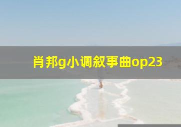 肖邦g小调叙事曲op23