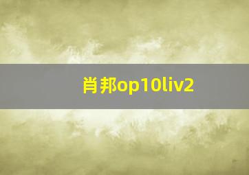 肖邦op10liv2