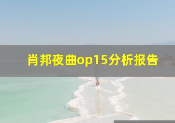 肖邦夜曲op15分析报告