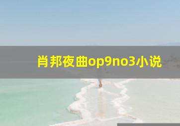 肖邦夜曲op9no3小说