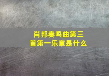 肖邦奏鸣曲第三首第一乐章是什么