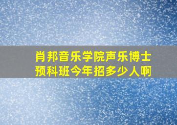 肖邦音乐学院声乐博士预科班今年招多少人啊