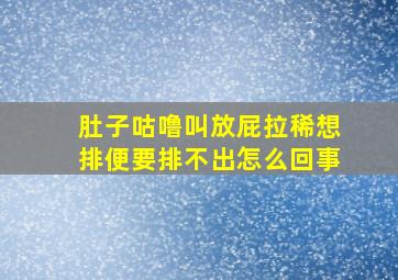 肚子咕噜叫放屁拉稀想排便要排不出怎么回事