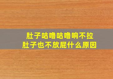 肚子咕噜咕噜响不拉肚子也不放屁什么原因