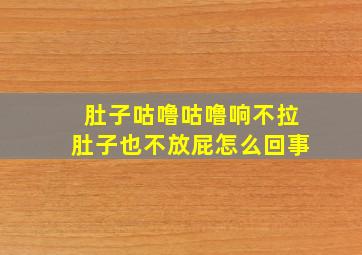 肚子咕噜咕噜响不拉肚子也不放屁怎么回事