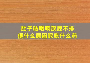 肚子咕噜响放屁不排便什么原因呢吃什么药