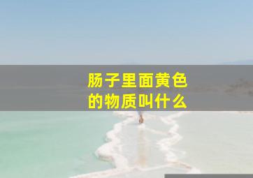 肠子里面黄色的物质叫什么