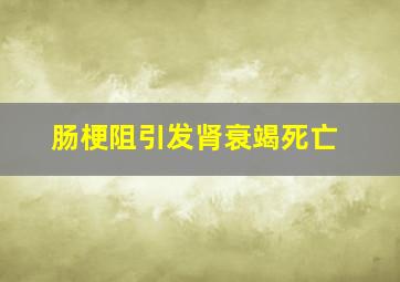 肠梗阻引发肾衰竭死亡