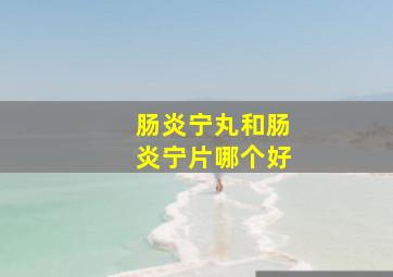 肠炎宁丸和肠炎宁片哪个好