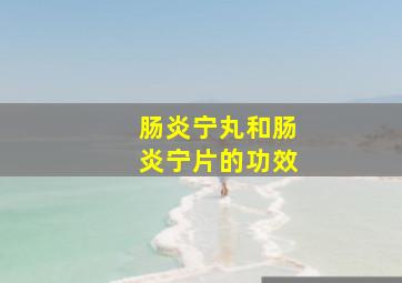 肠炎宁丸和肠炎宁片的功效