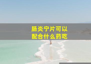 肠炎宁片可以配合什么药吃