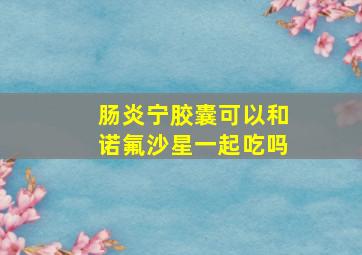 肠炎宁胶囊可以和诺氟沙星一起吃吗