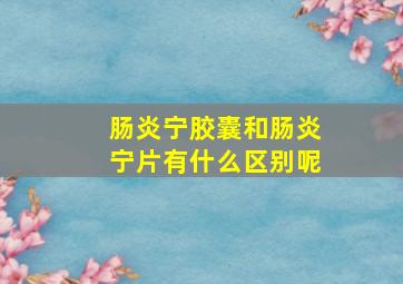 肠炎宁胶囊和肠炎宁片有什么区别呢