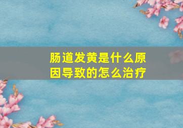 肠道发黄是什么原因导致的怎么治疗