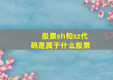 股票sh和sz代码是属于什么股票