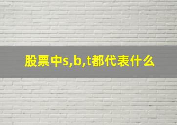 股票中s,b,t都代表什么