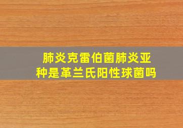 肺炎克雷伯菌肺炎亚种是革兰氏阳性球菌吗