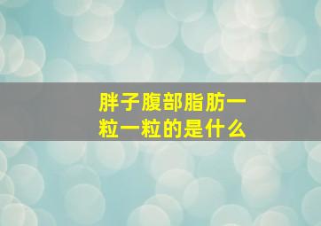 胖子腹部脂肪一粒一粒的是什么