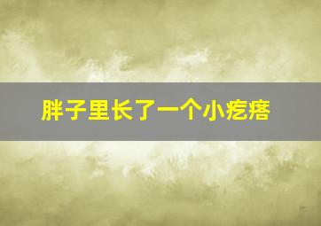 胖子里长了一个小疙瘩