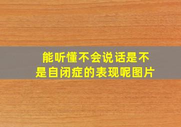 能听懂不会说话是不是自闭症的表现呢图片