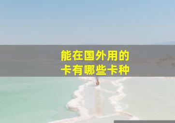 能在国外用的卡有哪些卡种