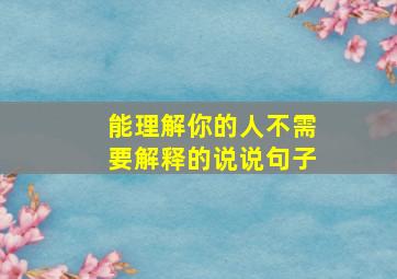 能理解你的人不需要解释的说说句子