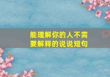 能理解你的人不需要解释的说说短句